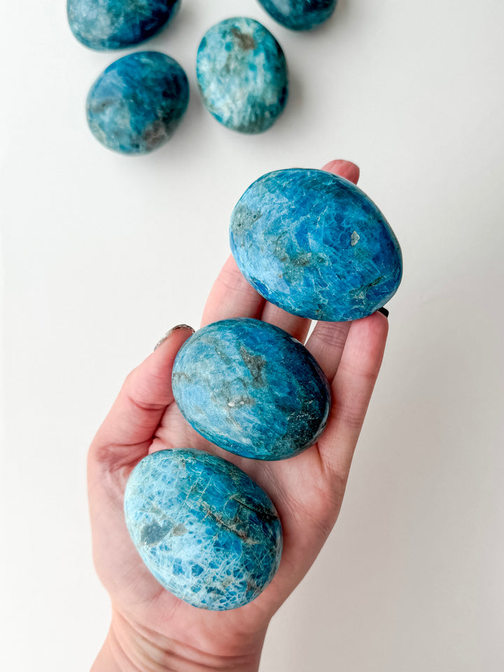 Apatite Palm Stone // Creativity + Motivation + Clarity