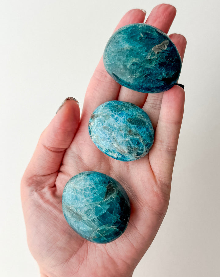 Apatite Palm Stone // Creativity + Motivation + Clarity