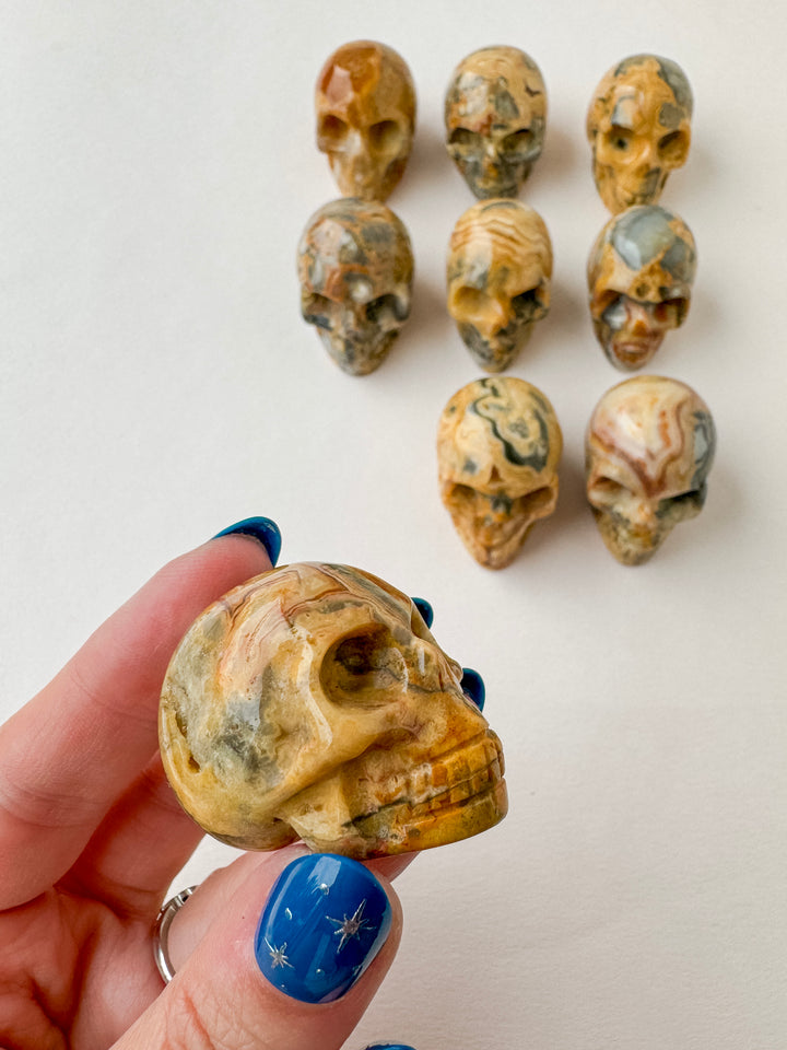 Crazy Lace Agate Skull //  Joy + Stability