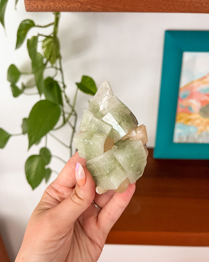 Green Apophyllite + Stilbite Cluster // Stone of Truth + Opens Intuition