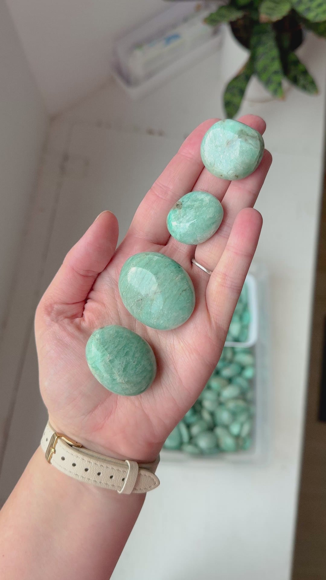 Amazonite Pebble // Communication + Optimism