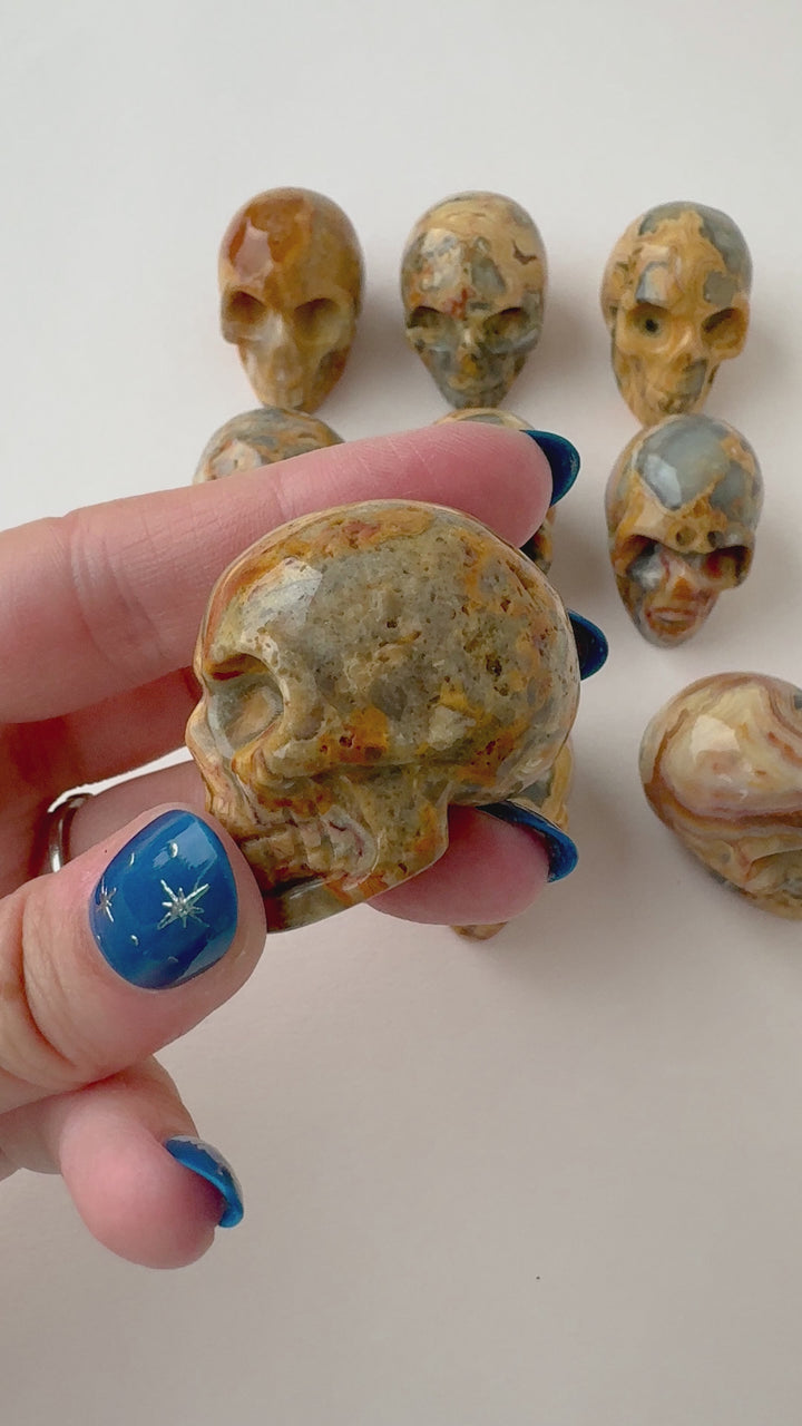 Crazy Lace Agate Skull //  Joy + Stability