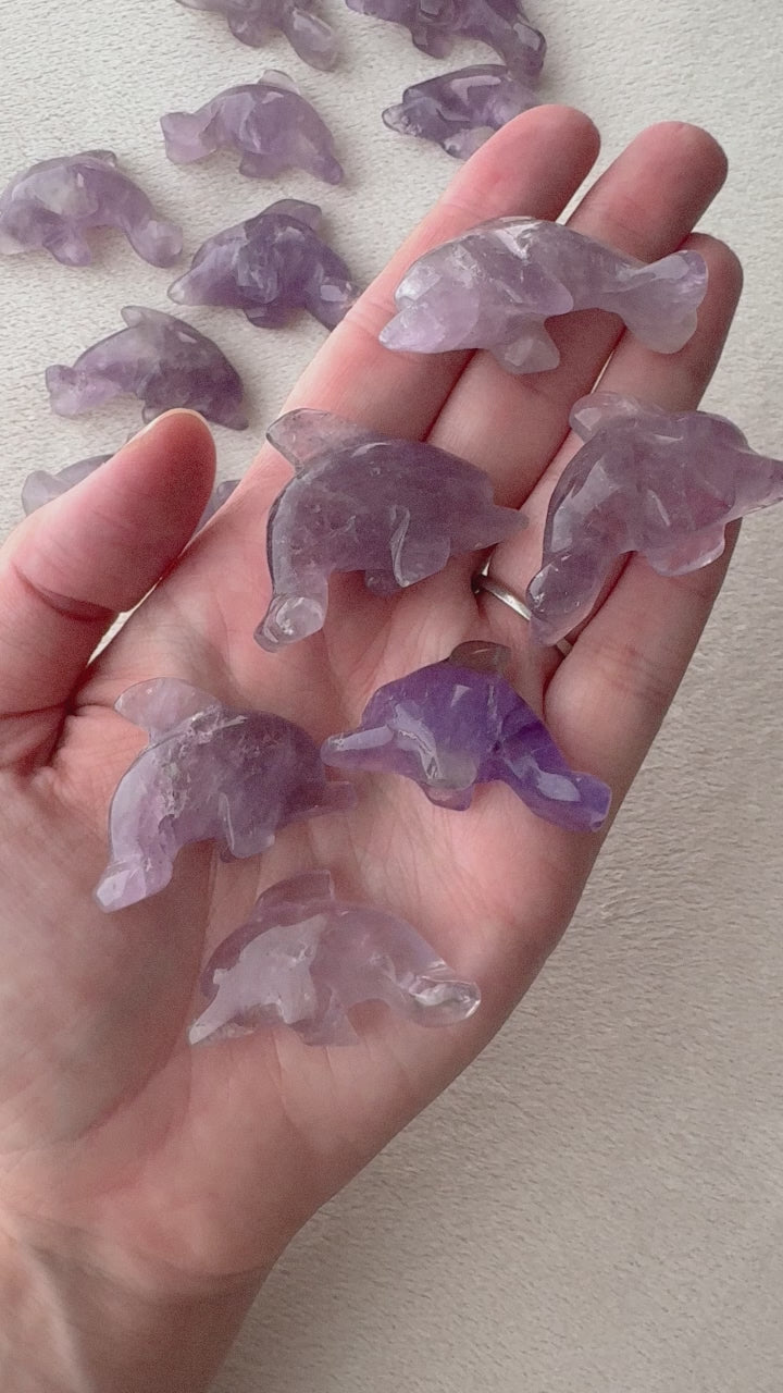 Amethyst Dolphin // Protection + Healing