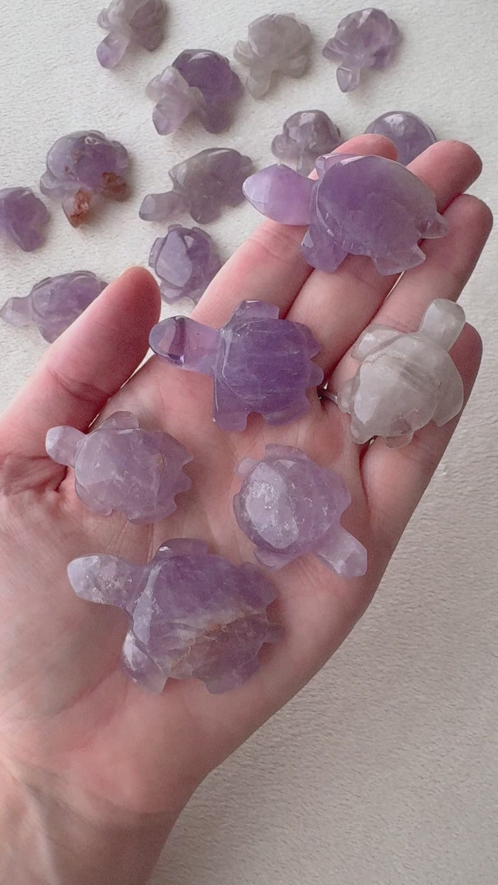 Amethyst Turtle // Protection + Healing