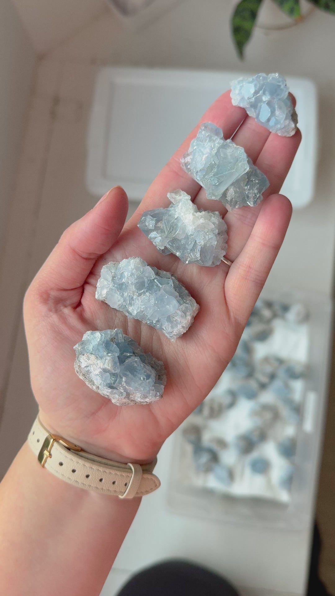 Celestite Mini Cluster // Serenity + Communication