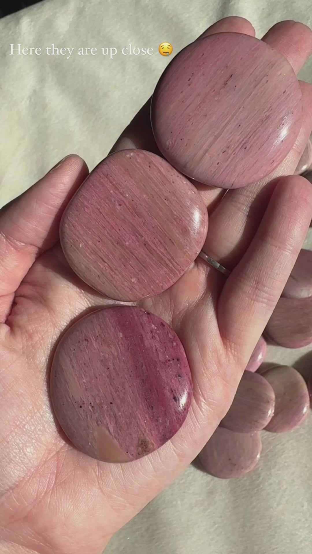 Pink petrified wood palm stone