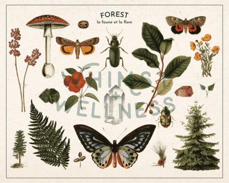 Flora + Fauna | 8x10 Poster (Digital)